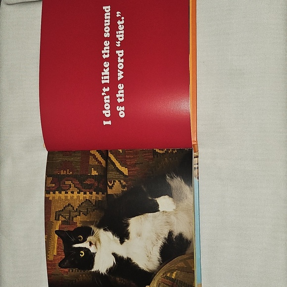 🟢 The Secret Thoughts of Cats Book - Picture 3 of 6